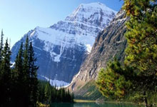 jiuyou app-包含罗马关键时刻刷新队史纪录，志在葡超名次提升，更衣室稳定，团队化学反应显著的词条-jiuyou app